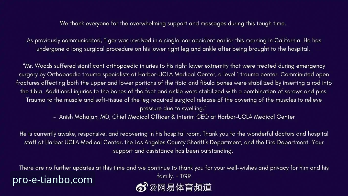 天博官网网页安装教程 老虎伍兹药物事故全解析:从赛场传奇到法律风波