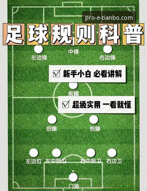 天博官网网页入口链接 通过天博体育官网专业平台深度解析意大利队出局的操作教程